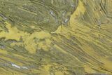 Polished Stromatolite (Kussiella) Slab - Billion Years #129227-1